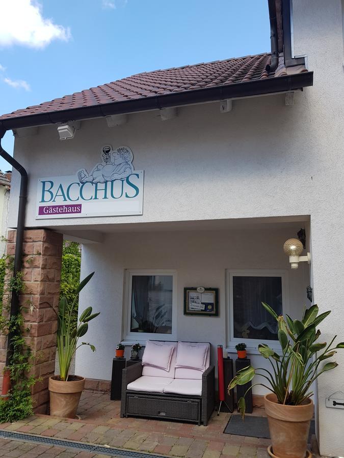 Gastehaus Bacchus Hotel Wachenheim an der Weinstraße Exterior foto